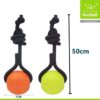 Nunbell zsinóros labda kutyáknak