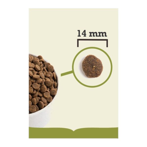 ACANA Grass-Fed Lamb 11,4 kg ACANA Grass-Fed Lamb 11,4 kg