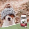 ImmunoVet Pets új generációs immunerősítő tabletta-60db