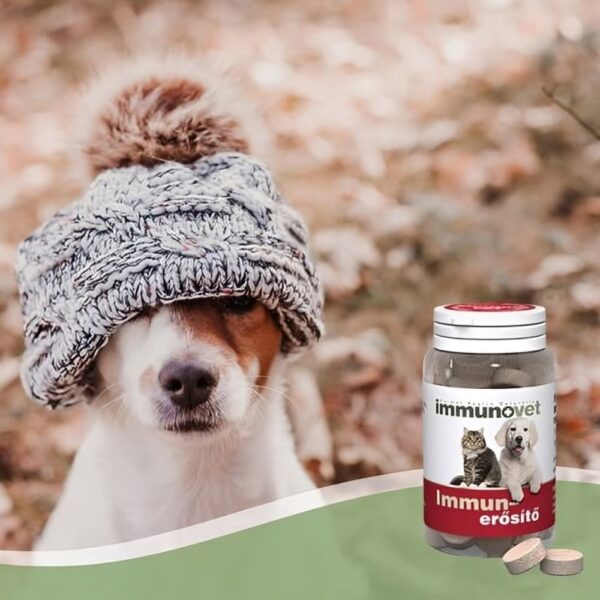 ImmunoVet Pets új generációs immunerősítő tabletta-60db ImmunoVet Pets új generációs immunerősítő tabletta-60db