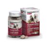 ImmunoVet Pets új generációs immunerősítő tabletta-30db